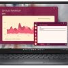 DELL Pro Pro 14 (PC14250)