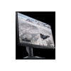 Dell Gaming Monitor AW2524HF