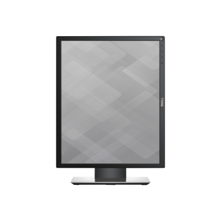 Dell Professional P1917S