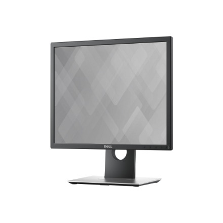 Dell Professional P1917S