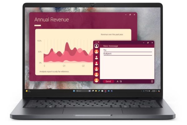DELL Pro Pro 14 (PC14250)